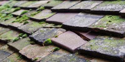 Finchingfield roof repair costs